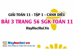 Giải bài 3 trang 56 Toán 11 tập 1 SGK Cánh Diều